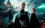 2011 Harry Potter et le Reliques de la Mort HD wallpapers #21