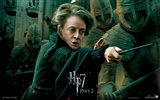 2011 Harry Potter a Relikvie smrti HD tapety na plochu #24