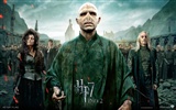 Harry Potter and the Deathly Hallows 哈利·波特與死亡聖器 高清壁紙 #82998