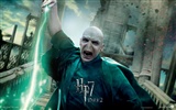 Harry Potter and the Deathly Hallows 哈利·波特与死亡圣器 高清壁纸30