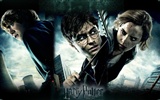 2011 Harry Potter et le Reliques de la Mort HD wallpapers #31