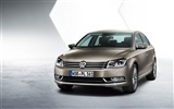 Volkswagen Passat - 2010 大眾 #2