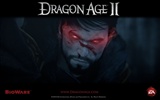 Dragon Age 2 HD tapety na plochu #2