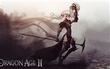 Dragon Age 2 龍騰世紀2 高清壁紙 #11