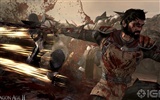 Dragon Age 2 HD Wallpaper #20