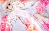 Anime girl HD tapety na plochu #25