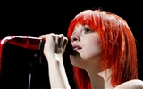 Hayley Williams hermoso fondo de pantalla #10