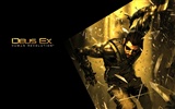 Deus Ex: Human Revolution 殺出重圍3：人類革命 高清壁紙 #13