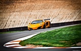 McLaren MP4-12C GT3 - 2011 fondos de pantalla HD #10