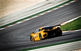 McLaren MP4-12C GT3 - 2011 HD tapety na plochu #12