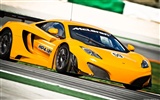 McLaren MP4-12C GT3 - 2011 fondos de pantalla HD #15