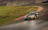 Need for Speed​​: Shift 2 極品飛車15 變速2 高清壁紙 #9