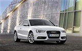 Audi A5 Coupe - 2011 奥迪4