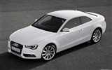 Audi A5 Coupe - 2011 奧迪 #7