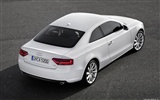 Audi A5 Coupe - 2011 奧迪 #8