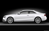Audi A5 Coupe - 2011 奥迪12