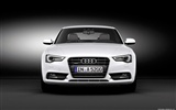 Audi A5 Coupe - 2011 HD Wallpaper #13