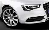 Audi A5 Coupe - 2011 奧迪 #14