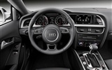Audi A5 Coupe - 2011 奥迪15