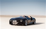 BMW 328 Hommage - 2011 HD tapety na plochu #8