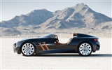 BMW 328 Hommage - 2011 HD Wallpaper #16