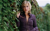 Allison Mack schöne Tapete #11