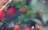 November 2011 Kalender Wallpaper (1) #7