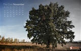 Novembre 2011 Calendar Wallpaper (1) #10