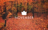 Novembre 2011 Calendar Wallpaper (2) #84032