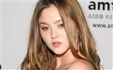 Devon Aoki krásnou tapetu #10