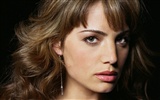 Erica Durance schöne Tapete #13