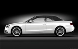 Audi A5 Cabriolet - 2011 奥迪14