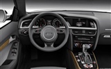 Audi A5 Cabriolet - 2011 奥迪16