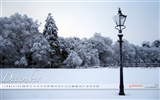 December 2011 Calendar wallpaper (2) #15