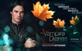 The Vampire Diaries HD 吸血鬼日记 高清壁纸16