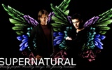 Supernatural HD tapety na plochu #2