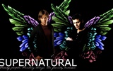 Supernatural wallpapers HD #2