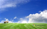 Windows 8 theme wallpaper (1) #2