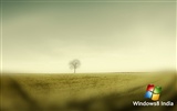 Windows 8 theme wallpaper (1) #5