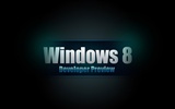 Fond d'écran Windows 8 Theme (1) #15