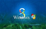 Windowsの8テーマの壁紙（2）