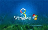 Windows 8 theme wallpaper (2)