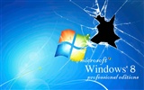 Windows 8 主題壁紙 (二) #84575