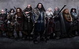 The Hobbit: An Unexpected Journey HD wallpapers #2