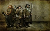 The Hobbit: Un voyage inattendu wallpapers HD #5