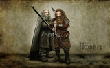 El Hobbit: Un viaje inesperado fondos de pantalla HD #6