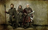 The Hobbit: Un voyage inattendu wallpapers HD #7