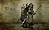 The Hobbit: Un voyage inattendu wallpapers HD #8