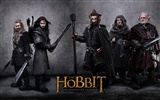 The Hobbit: Un voyage inattendu wallpapers HD #9