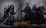 The Hobbit: An Unexpected Journey 霍比特人：意外旅程9